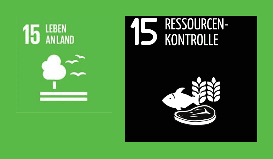 Illusion 15: Landökosysteme schützen & nachhaltige Nutzung fördern