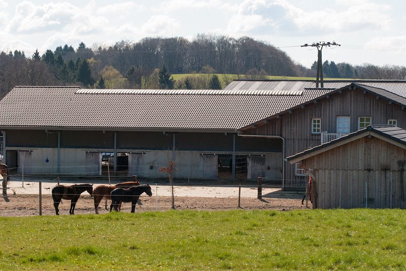 Elektroleitungen beim Pferdestall