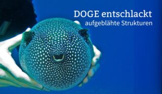 DOGE entschlackt aufgeblähte Strukturen im epischen Ausmass