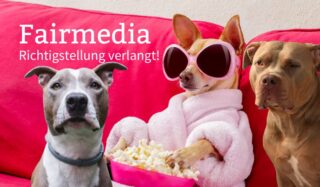 Fairmedia - Richtigstellung und Aufforderung zur Einhaltung journalistischer Standards
