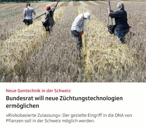 gentechnik_schweiz