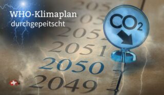 WHO-Klimaplan durchgepeitscht – trotz Saudi-Offensive