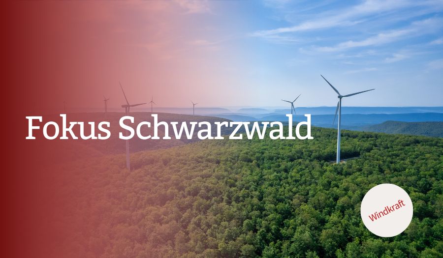 Fokus Schwarzwald