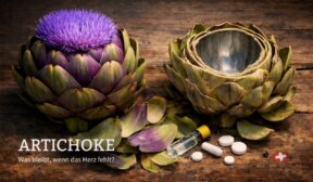 Projekt Artischocke – Wenn Sicherheit das Herz der Demokratie berührt