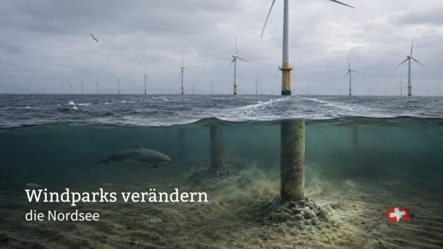 Windparks verändern die Nordsee, über und unter Wasser