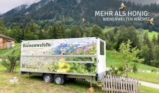 mehr-als-honig
